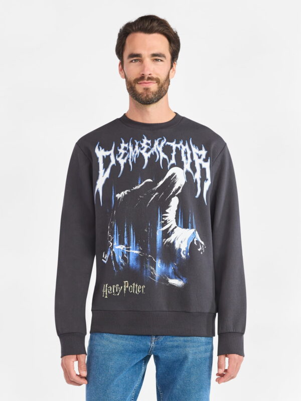 Harry Potter Men's and Big Men's Dementor Front Back Graphic Sweatshirt with Long Sleeves, Sizes S-3XL